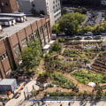 The Impact of Bronx, New York's Local Economy on Residents' Livelihoods: An Expert's Perspective