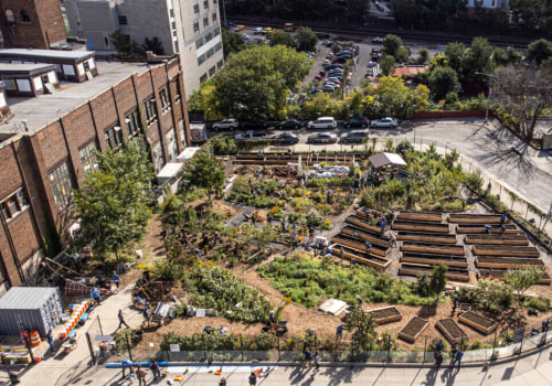 The Impact of Bronx, New York's Local Economy on Residents' Livelihoods: An Expert's Perspective